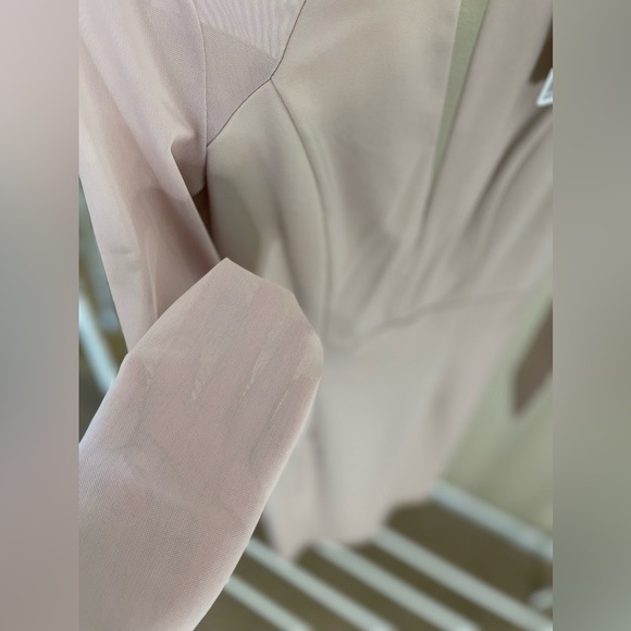 Forever 21 bodycon dress with long sheer sleeves (thick fabric) - Picture 5 of 10